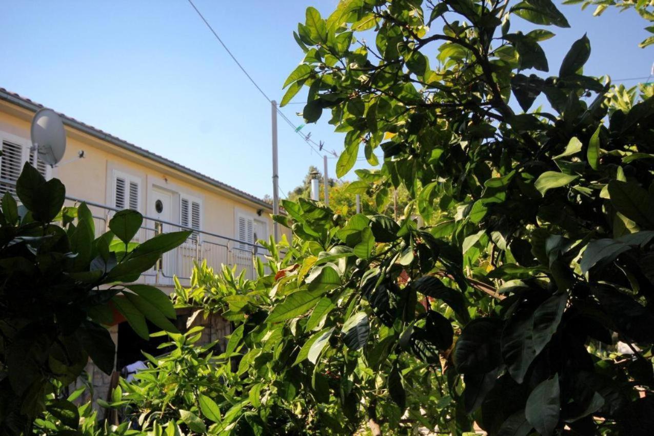 Guesthouse Gradina Loviste Exterior photo